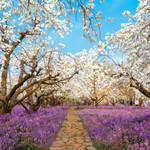 三台山国家森林公园