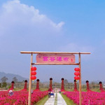 绿樱庄园