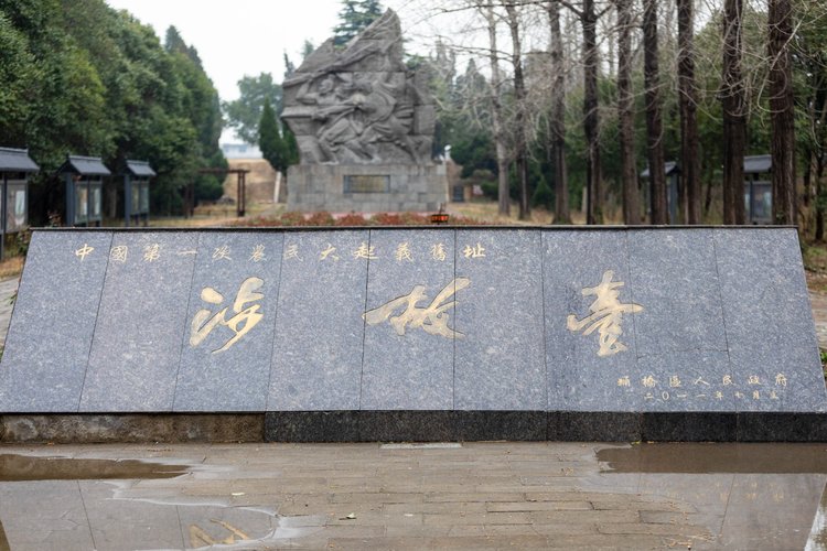 【宿州验客】向春而行,此去淮南第一洲 - 宿州游记攻略【同程旅游攻略】