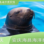 安庆海昌海洋探索馆