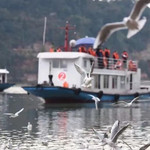 乐山白日游船