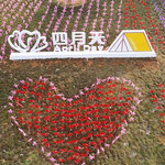 长兴四月天杜鹃花园
