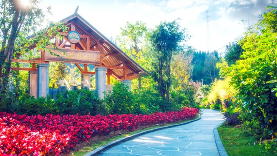 洞山温泉村门票