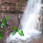 都峤山森林公园