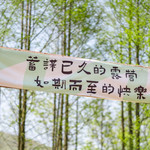 Hill Farm 山野农场