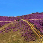 映山红生态公园