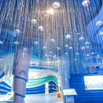 山海海洋之星景区