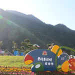 勇闯金丝峡