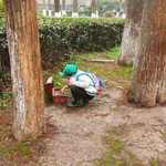 解放公园炮炮兵探险