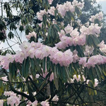 汶川无忧谷