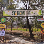 乐桃桃自然营地