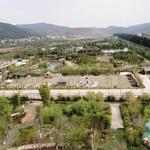 平安福乡村露营地