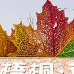 梧桐雨
