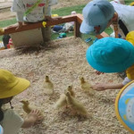 海口蘑法生态农场