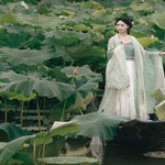 德清下渚湖湿地公园