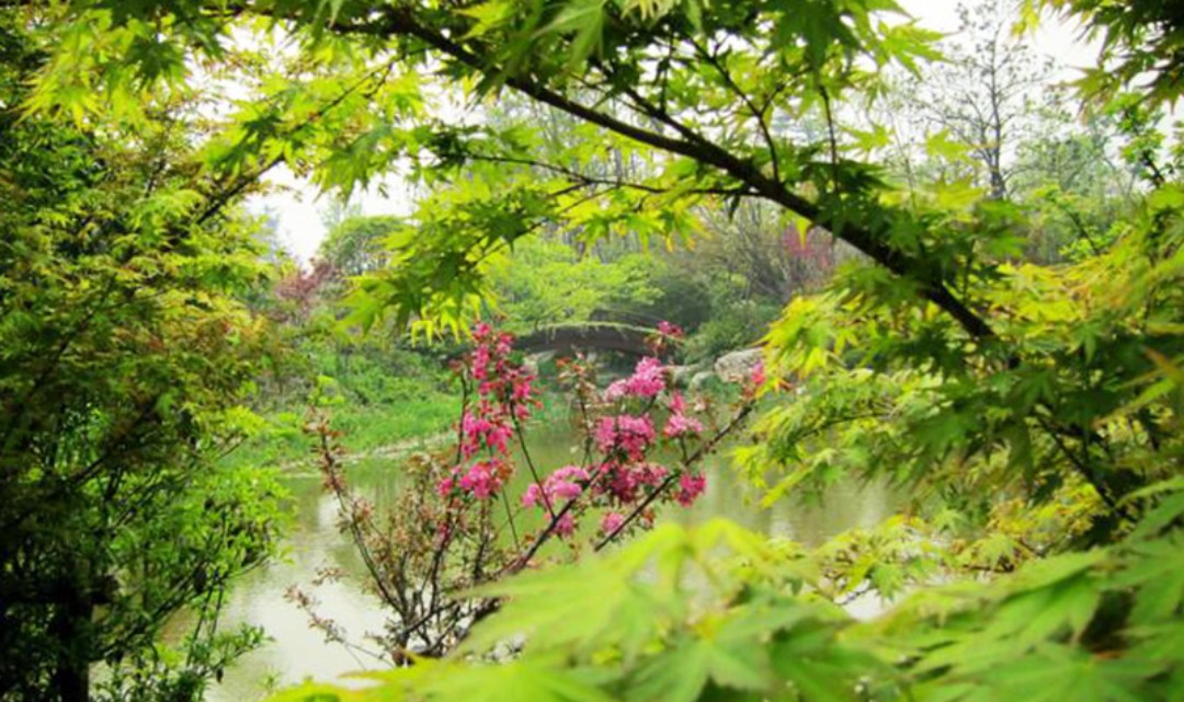阳山桃花岛景观公园门票