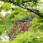 阳山桃花岛景观公园