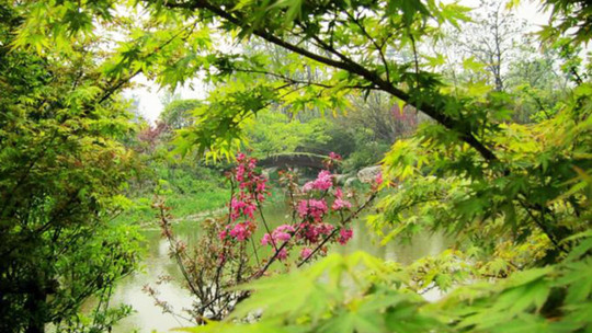 阳山桃花岛景观公园门票