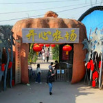 来宾市开心农场