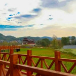 江口村森林公园