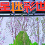 红星迷彩世界