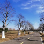 青口镇潜园公园