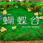 蝴蝶谷景区