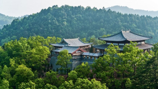 陕西黄陵国家森林公园门票