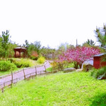恒山生态旅游区