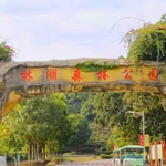 林湖森林公园
