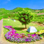青岛無比方花园景区