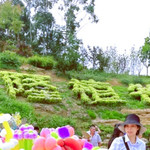 内江穹窿植物园
