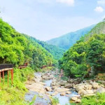 牛仙谷森林海温泉度假区