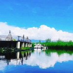 那拉提湿地公园