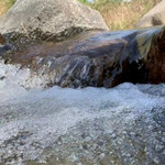 井陉水世界漂流