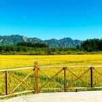 北京圣泉山水·稻田景区