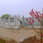 自然艺苑景区