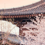 青龙寺遗址博物馆