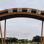 鸿旺牧场