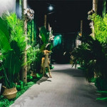 SAFARI秘境方舟·沉浸式动物展（关山保利广场）