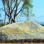 禾丰兰花小镇