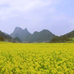 月亮湾休闲旅游度假区