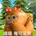 邢湉湉