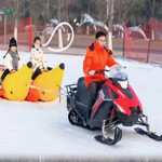 浑南中央公园冰雪欢乐王国