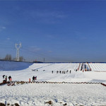 刘伶田园小镇滑雪场