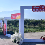 台州桔源地采摘园