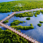 北海金海湾红树林生态旅游区