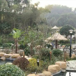 修水·温泉小镇