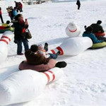 北极熊冰雪世纪乐园