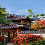 马岭观花植物园